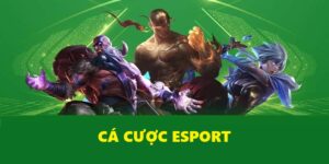 Hướng Dẫn Cá Cược Esport Cho Người Mới Tại 88GO